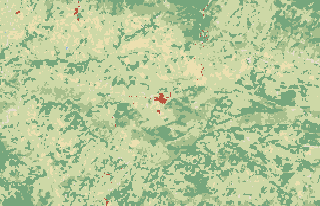 Tamorot